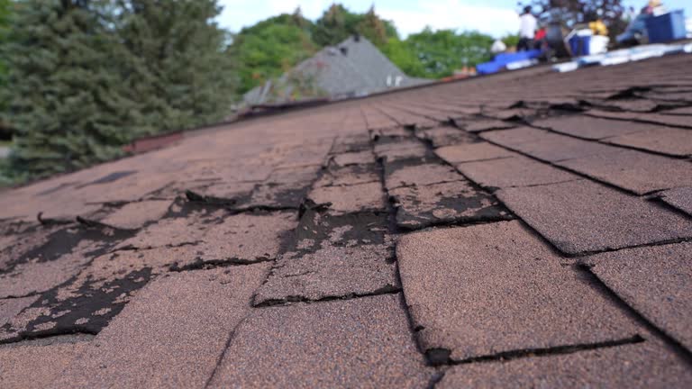 Best Roof Coating and Sealing  in Gretna, NE