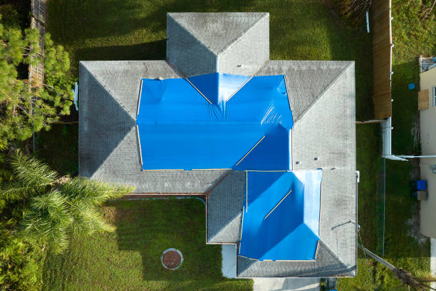 Best Roof Moss and Algae Removal  in Gretna, NE