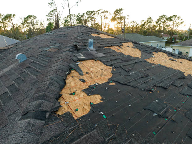 Best Storm Damage Roof Repair  in Gretna, NE